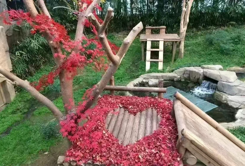 近期福宝和姜爷爷的视频,福宝回国姜爷爷和宋爷爷上热搜