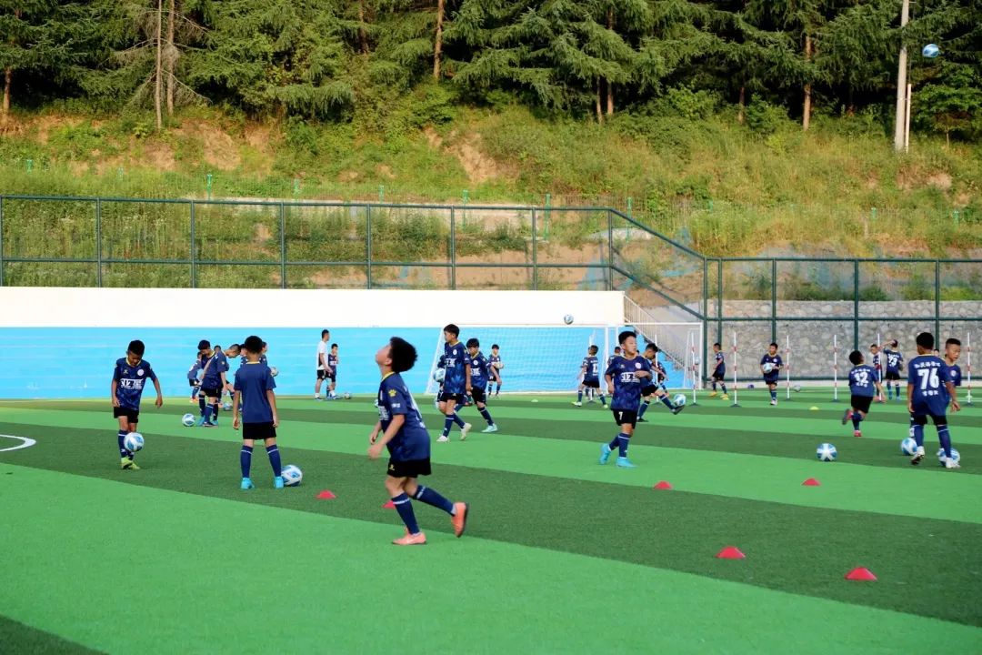 入选全国乡村旅游重点镇！留侯镇营盘村如何突出重围