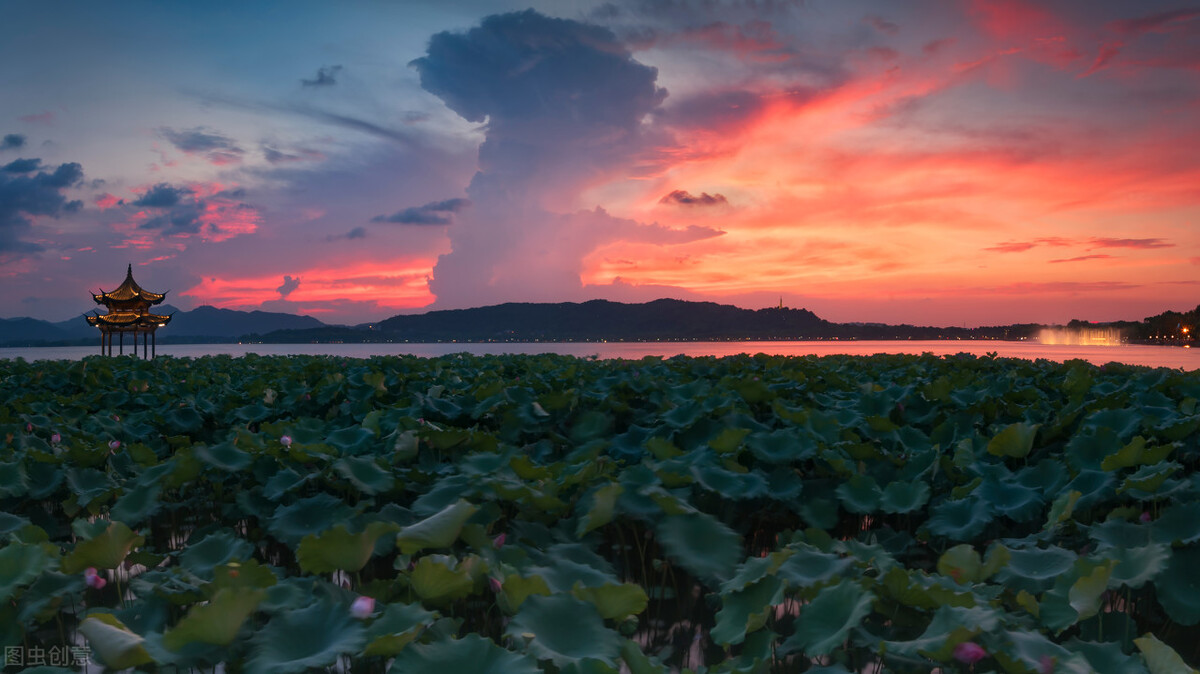 西湖断桥风景美图,西湖三月天美图