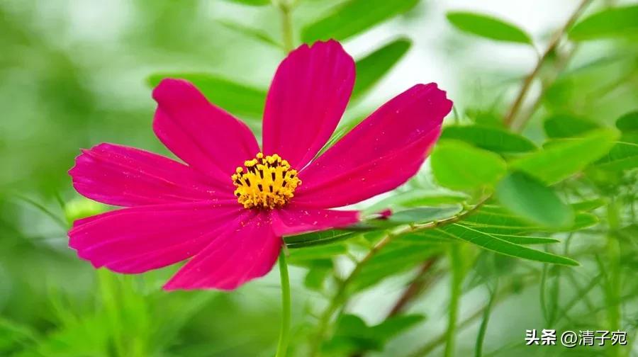 刚毕业的大学生应该工作还是备考,刚毕业的大学生选择高薪还是低薪