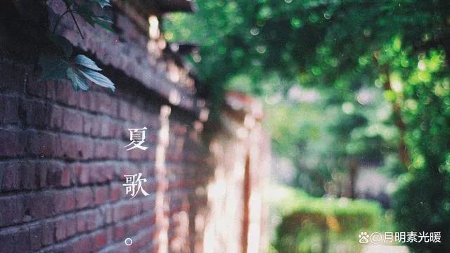 外汇投资的正确方法和技巧,外汇黄金投资最佳方法