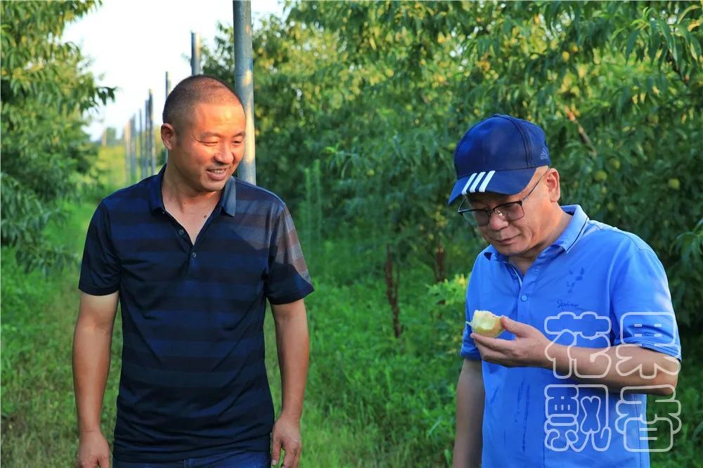 老板,这个水果多少钱?不用,你帮我介绍客户就行了