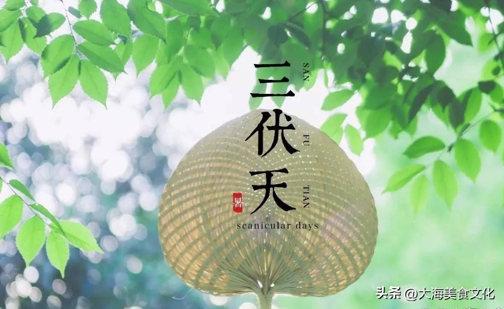 7月份应季水果蔬菜有哪些,七月份吃哪些应季蔬菜