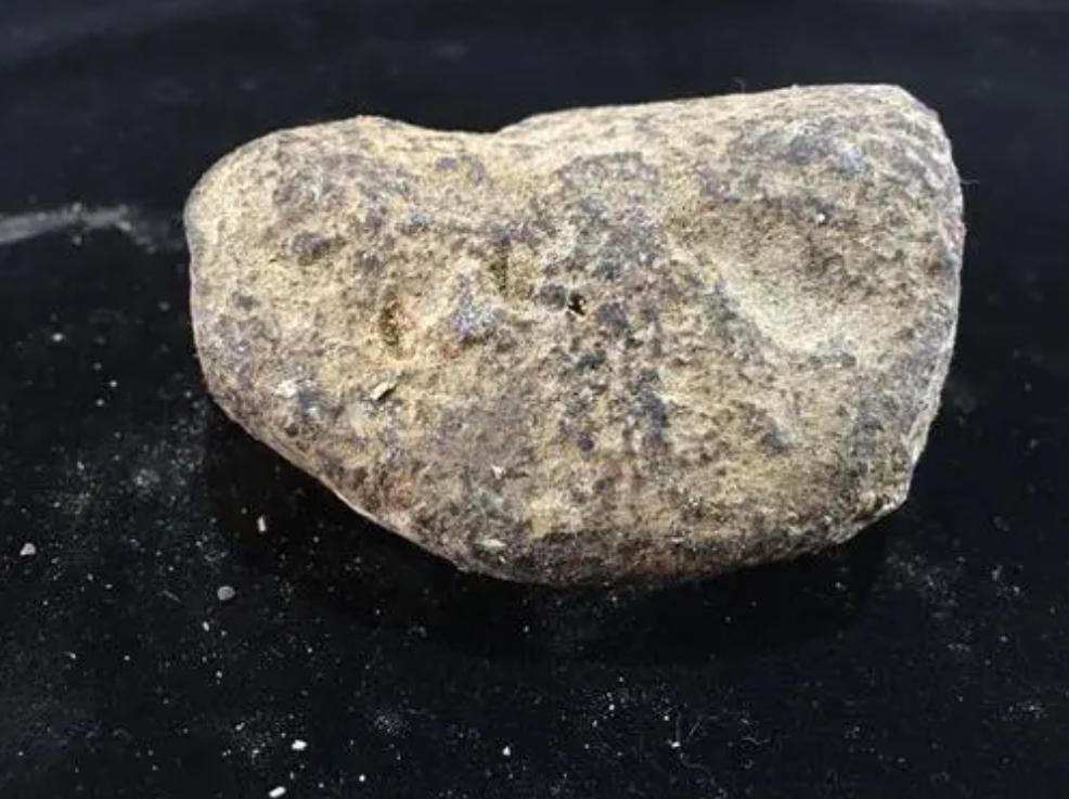 河马粪便致上万条鱼死亡,河马被粪便憋死