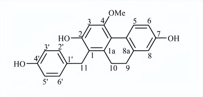 鐧借姩鍖栧鎴愬垎,鐧借姩涓昏鍖栧鎴愬垎