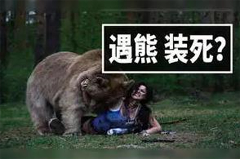 1981年苏联飞机失事幸存者,苏联飞机坠落真实事件