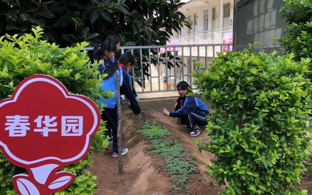 绿美太邑蔬香校园
