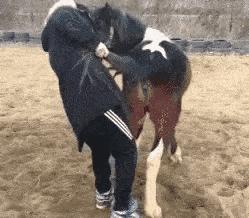 神回复的含义是什么,神回复的语句