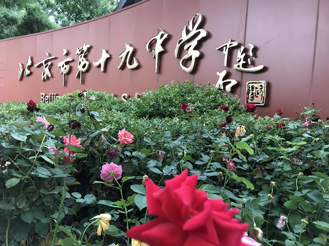 关注！海淀这所普通校多位学生高考逆袭的秘诀是什么