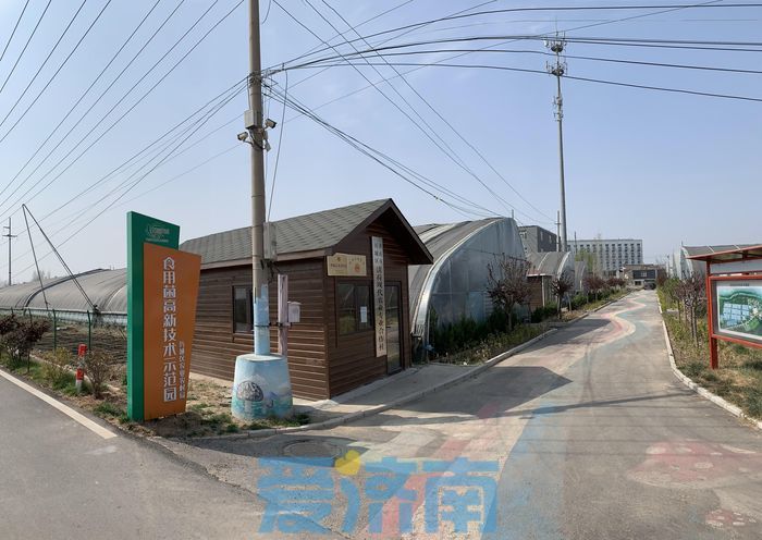 追光|济南也有小型“村BA”：那些后劲十足的乡村赛事，改变了什么