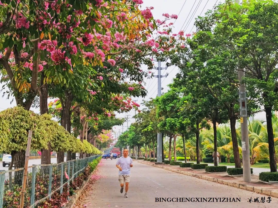 旅居海南,旅居式旅游生活海南
