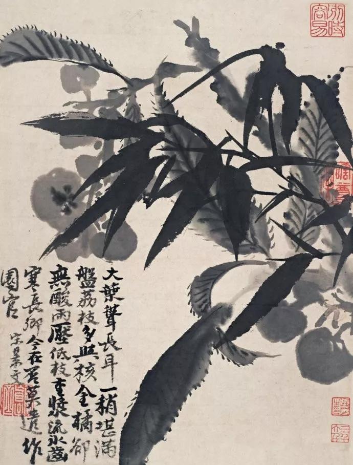 清代九大名家花鸟册页欣赏,清朝九大名家花鸟山水图