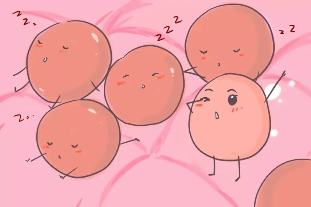 雌激素低会引起卵泡发育不良吗,卵泡发育不良不排卵激素检查正常