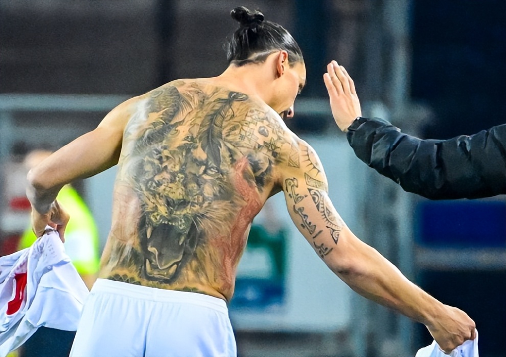 伊布退役对维罗纳说的话,伊布退役仪式翻译