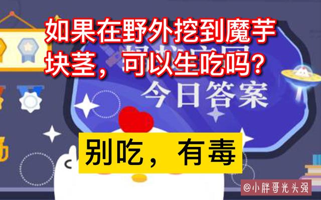 野外挖到的魔芋块根,如果在野外挖到魔芋块可以生吃吗