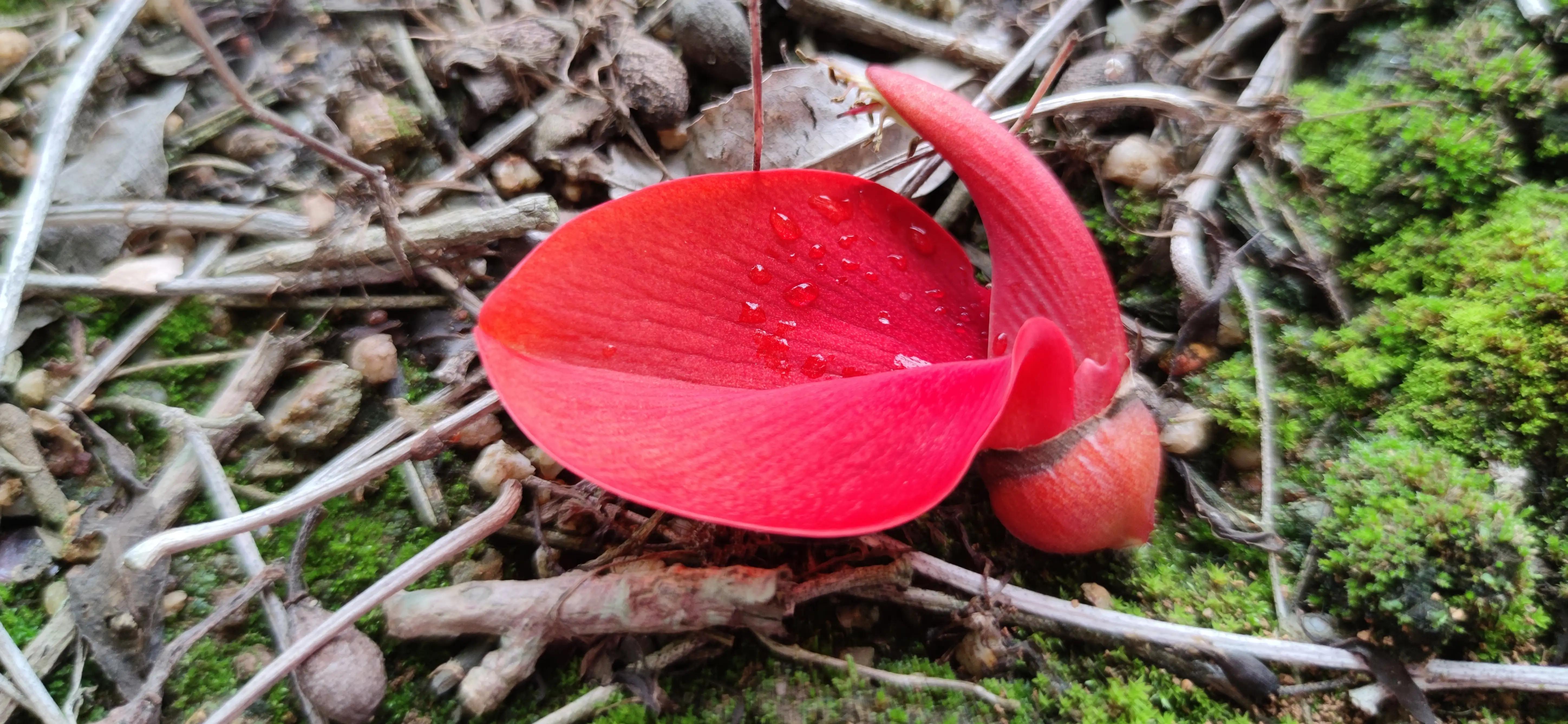 心顺一切顺图片,心顺财顺百事顺