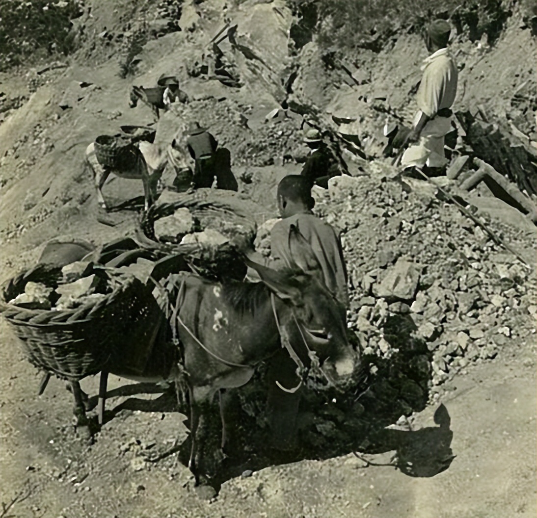 浅论加拿大华人150年历史(上)