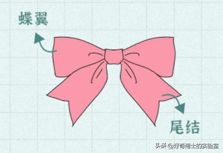 为什么女生*裤内**前面，总有个蝴蝶结？