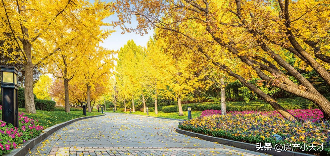 北京北苑小区排名,北京北苑小区楼盘推荐