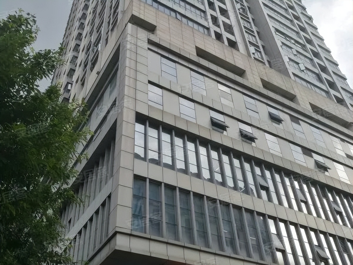 粤剧、醒狮、武术、科技……TA有39个宝藏社团？