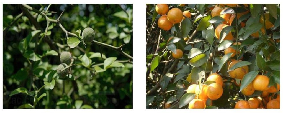 南方人的取暖难题,南北方人取暖的差异