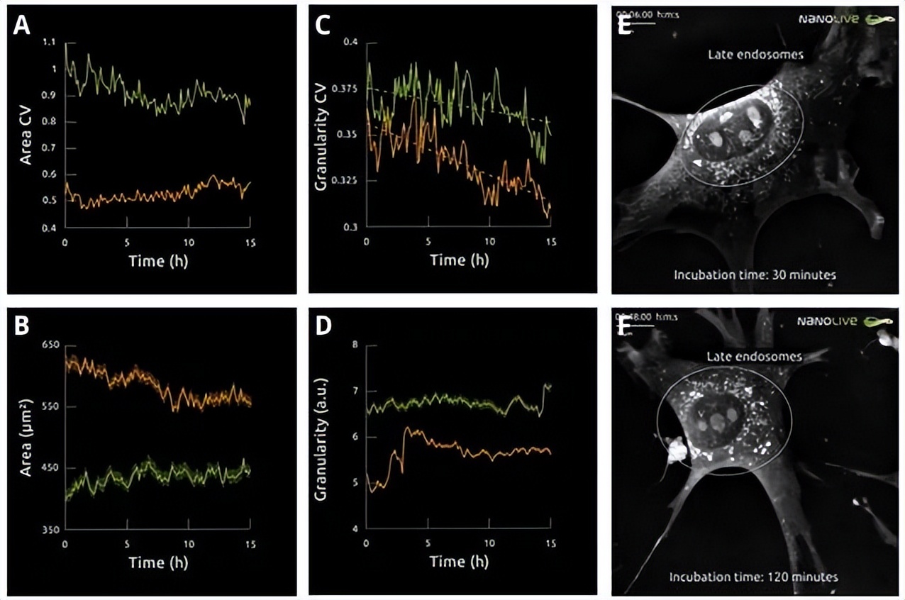 昆明纳瑞丨「Nanolive」在群体水平上描述单个细胞的特征