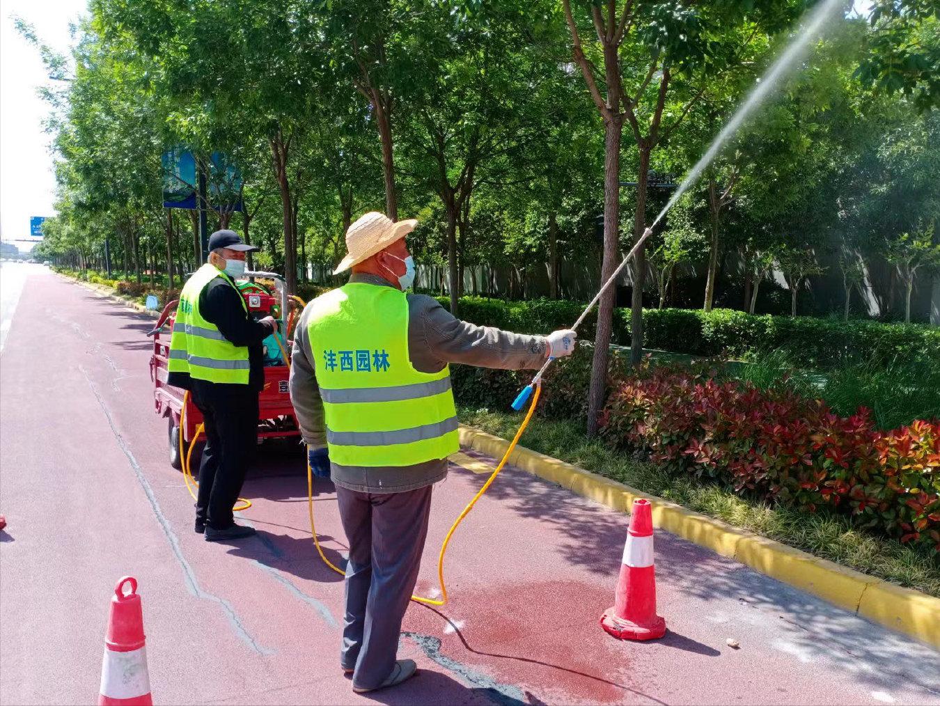 拍摄沣西新城渭河景观绿化,新城区园林绿化水平
