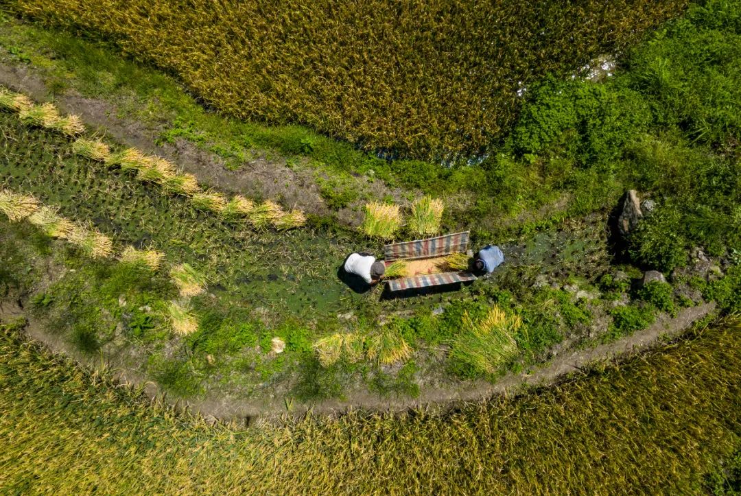 丘陵山地农机,山地丘陵专用农机设备
