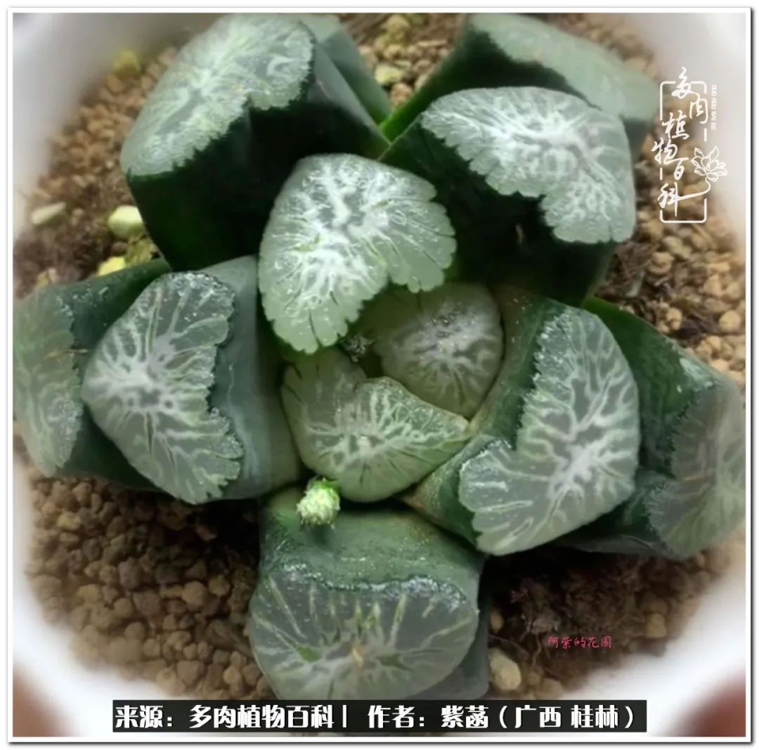 酷暑里的关爱，如十二卷般透亮绵长