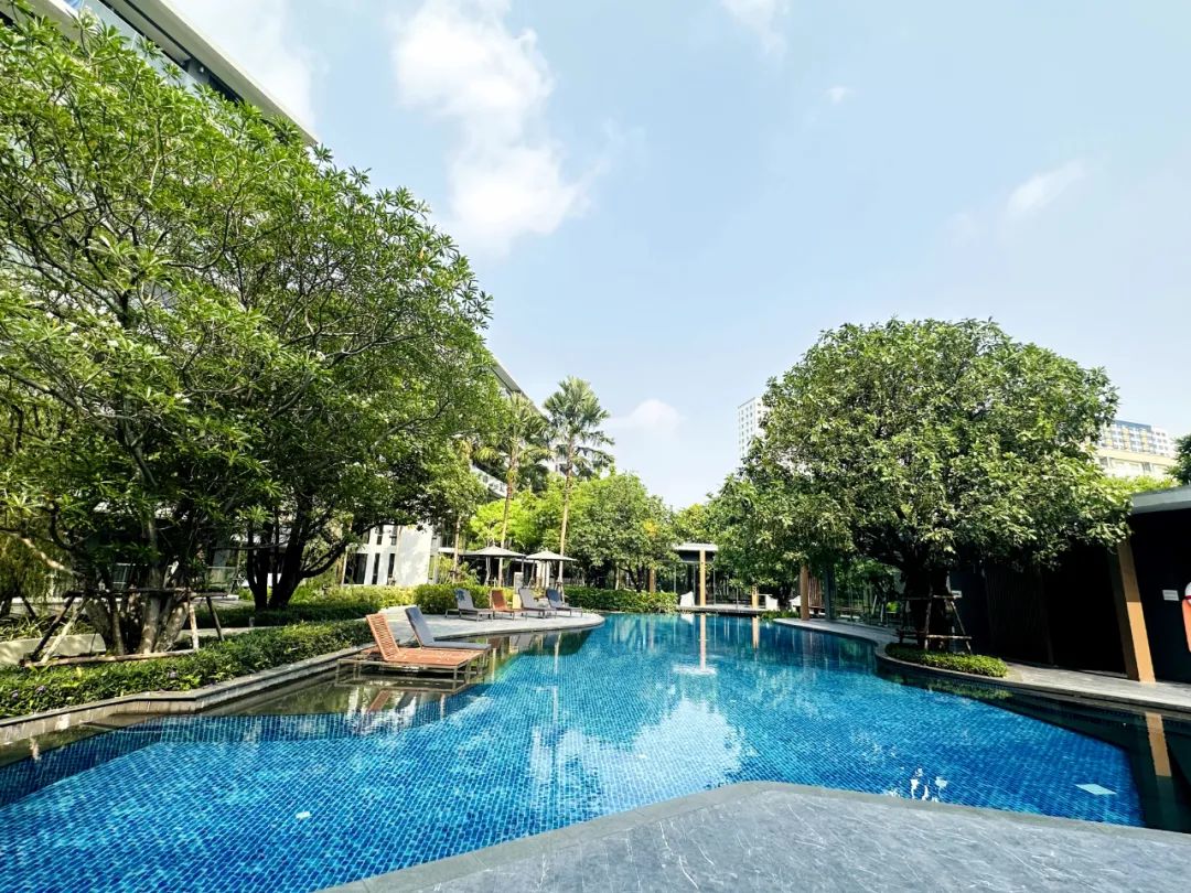 在泰国买房的人都踩过哪些坑？泰国养老置业避雷！建议收藏