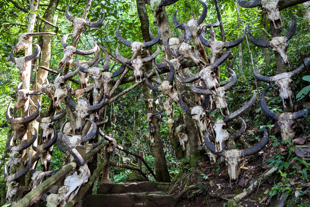 西双版纳和大理房价对比,西双版纳和海南的房价哪个好