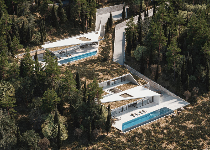 typology涓枃,typology