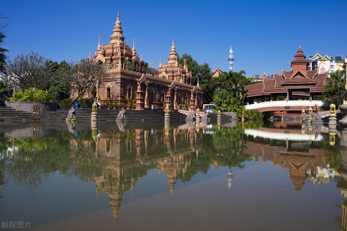 2022西双版纳门票免费的景区,西双版纳望天树景区与热带植物园