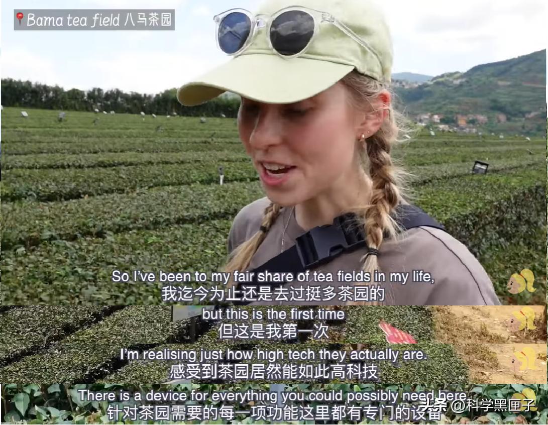 八马茶业好茶来袭,八马茶业致敬国际茶日