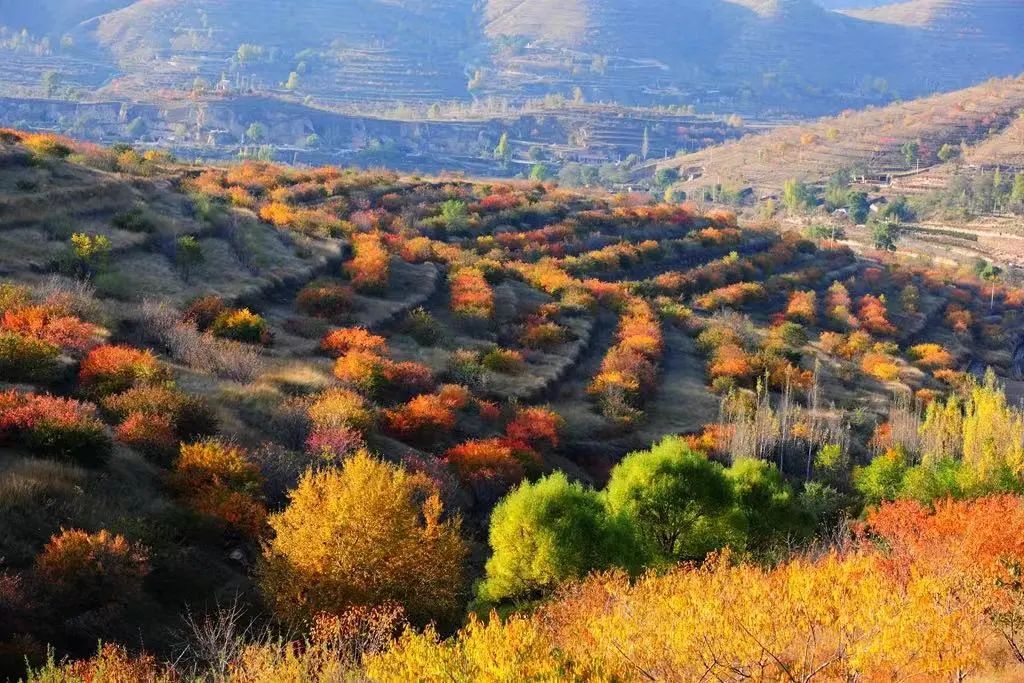 厦门亲子游四日游推荐路线攻略,厦门亲子游自由行攻略