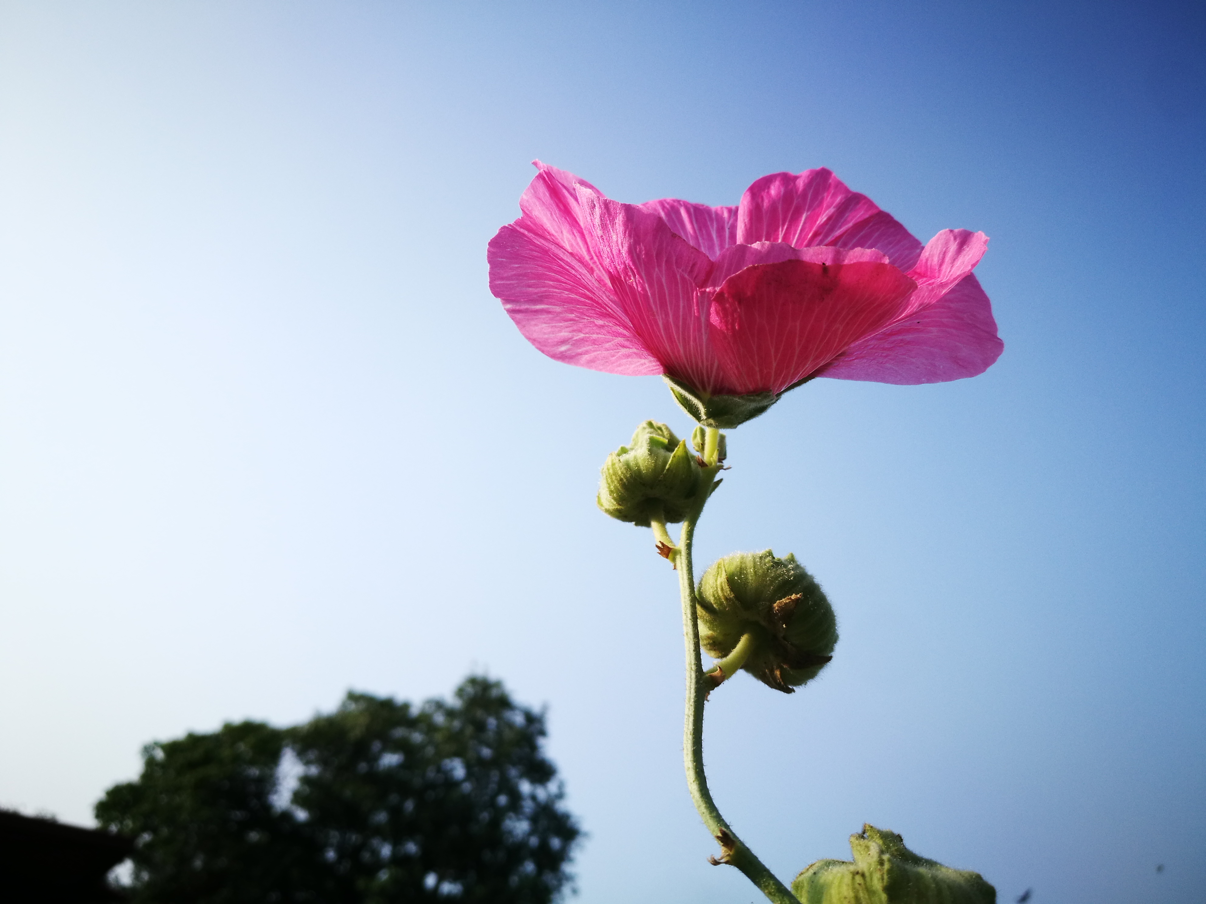 孔明的散文,作家孔明的写人散文
