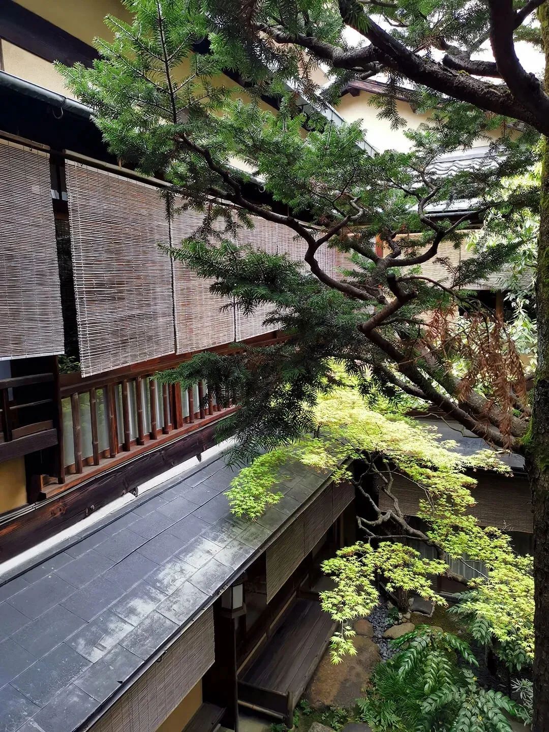 浜兘閰掑簵鎺ㄨ崘鏃ュ紡,浜兘鏃ュ紡鏃呴鎺ㄨ崘