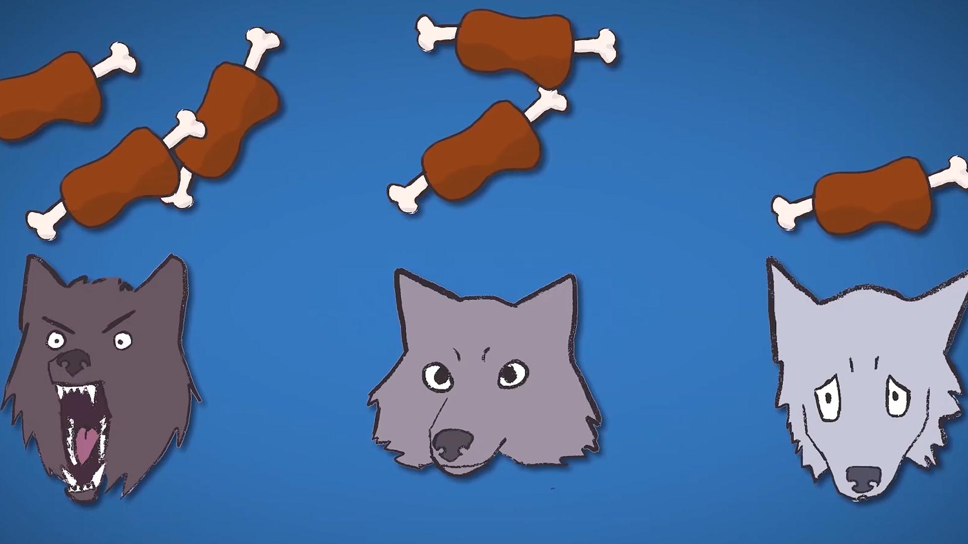 牧羊犬遭受狼群袭击,牧羊犬为什么叛变加入狼群