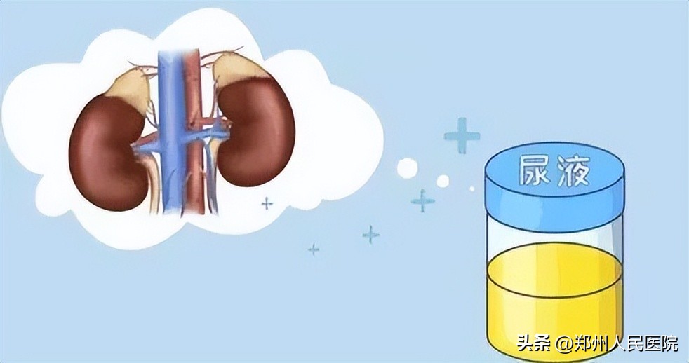 留尿这个“技术活”你还真不一定会！这篇有味道的文章我劝你看看
