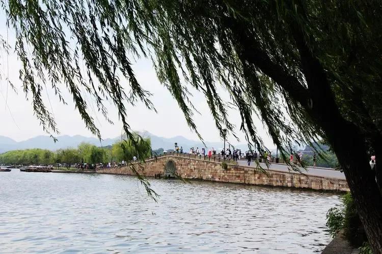 西湖的荷花最美的在什么地方,西湖荷花大赏介绍