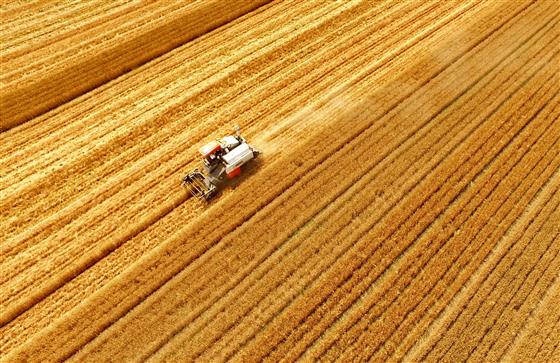 秦风,秦岭远古时代是海洋吗