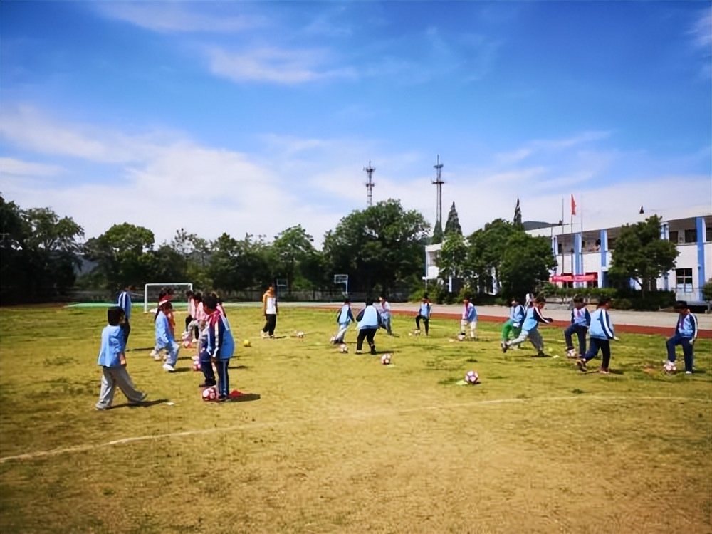 让孩子们感受一下农村风光,让孩子走进乡村