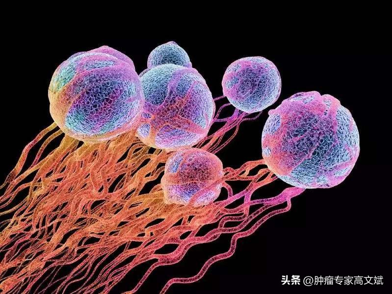 肿瘤领域未来发展趋势,肿瘤学的未来发展方向