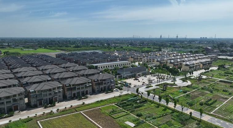 因“农”而生向“农”而兴看这里20年的精彩蝶变