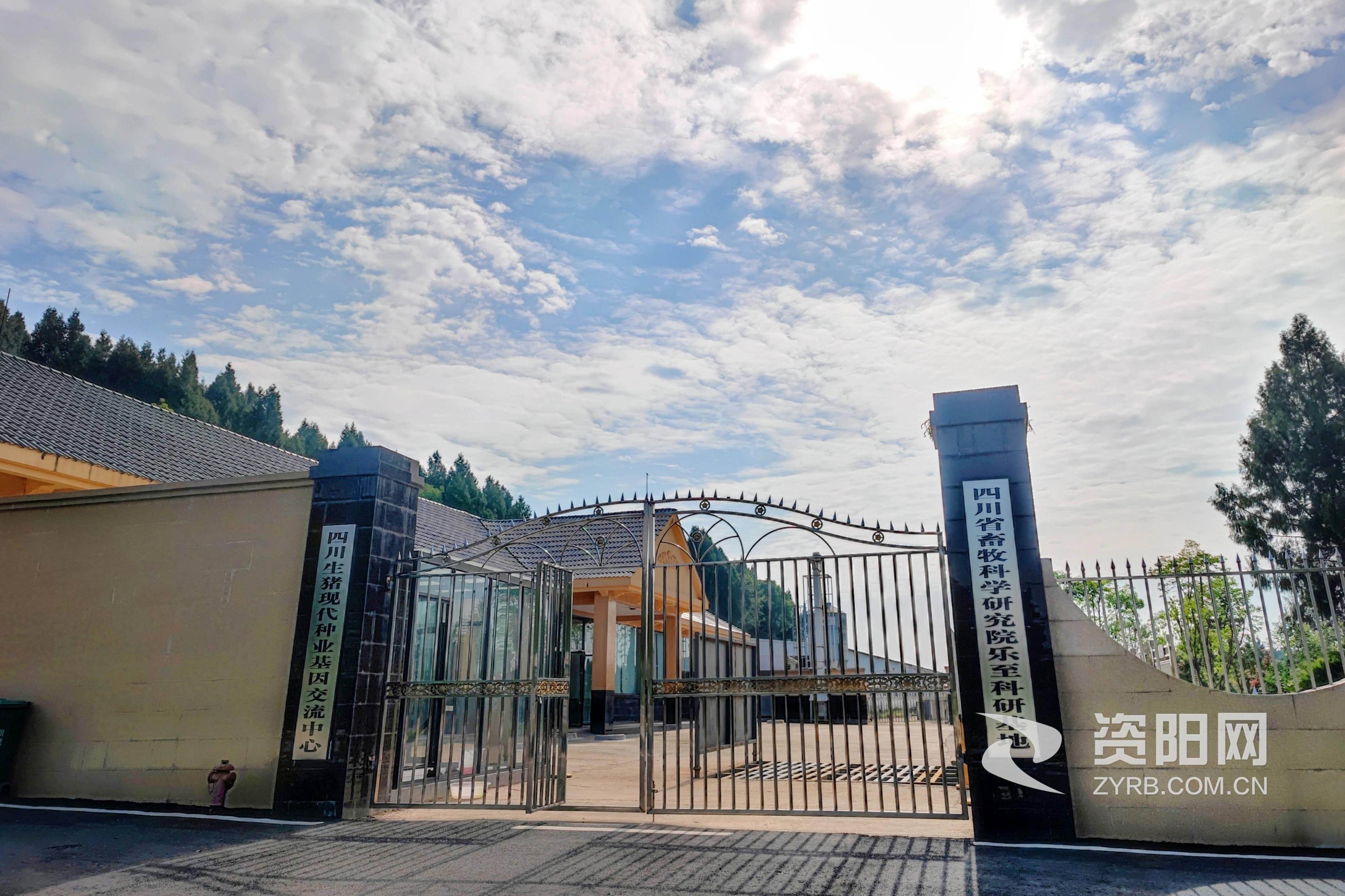 四川省乐至县成绩查询,乐至县2019取得的成就