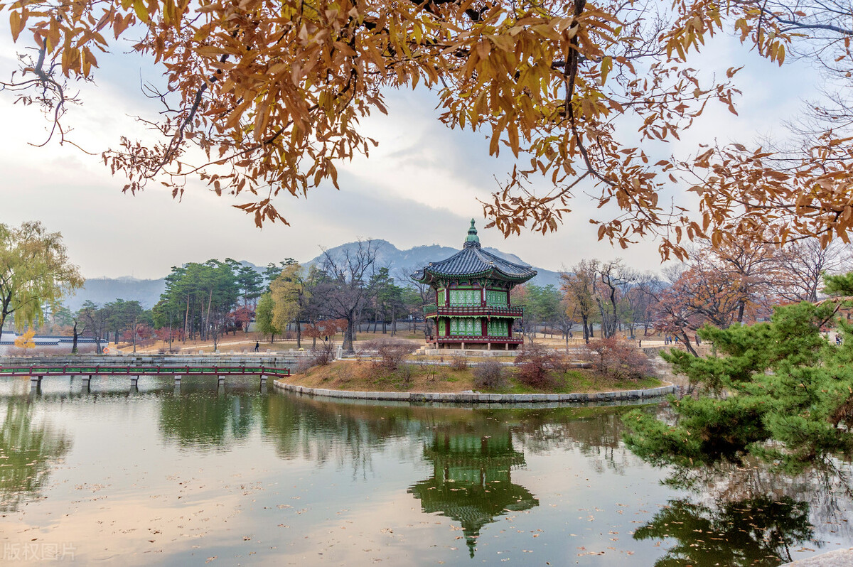 缁х画瀹炴柦绛捐瘉闄愬埗,闊╁浗鍐嶆寤惰繜绛捐瘉