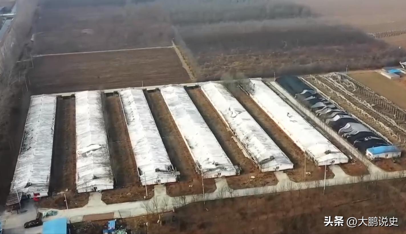 2021年山东富二代研制凤凰蛋，被嘲笑人傻钱多，一年狂赚1000万