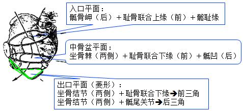 孕妈妈需要经历什么,从怀孕到生需要做多少次产检