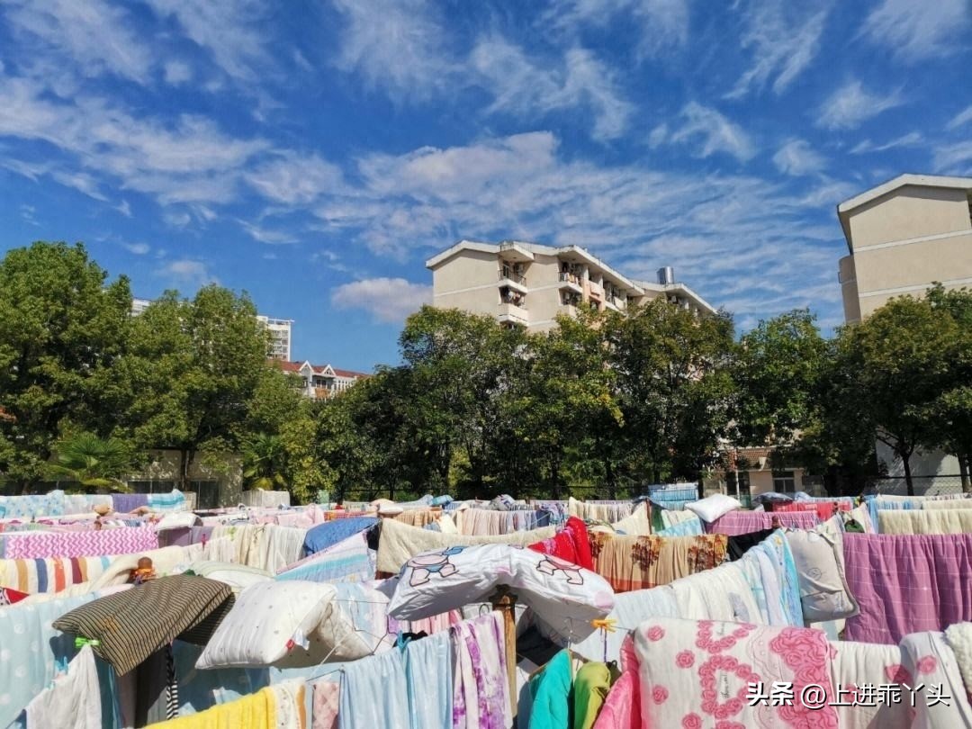 羽绒被长螨虫吗,羽绒被晾晒飞出的白色灰尘特别多