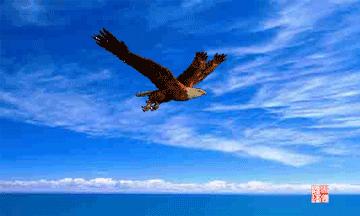 兵不厌诈1-36集解说,兵不厌诈1-36集完整解说